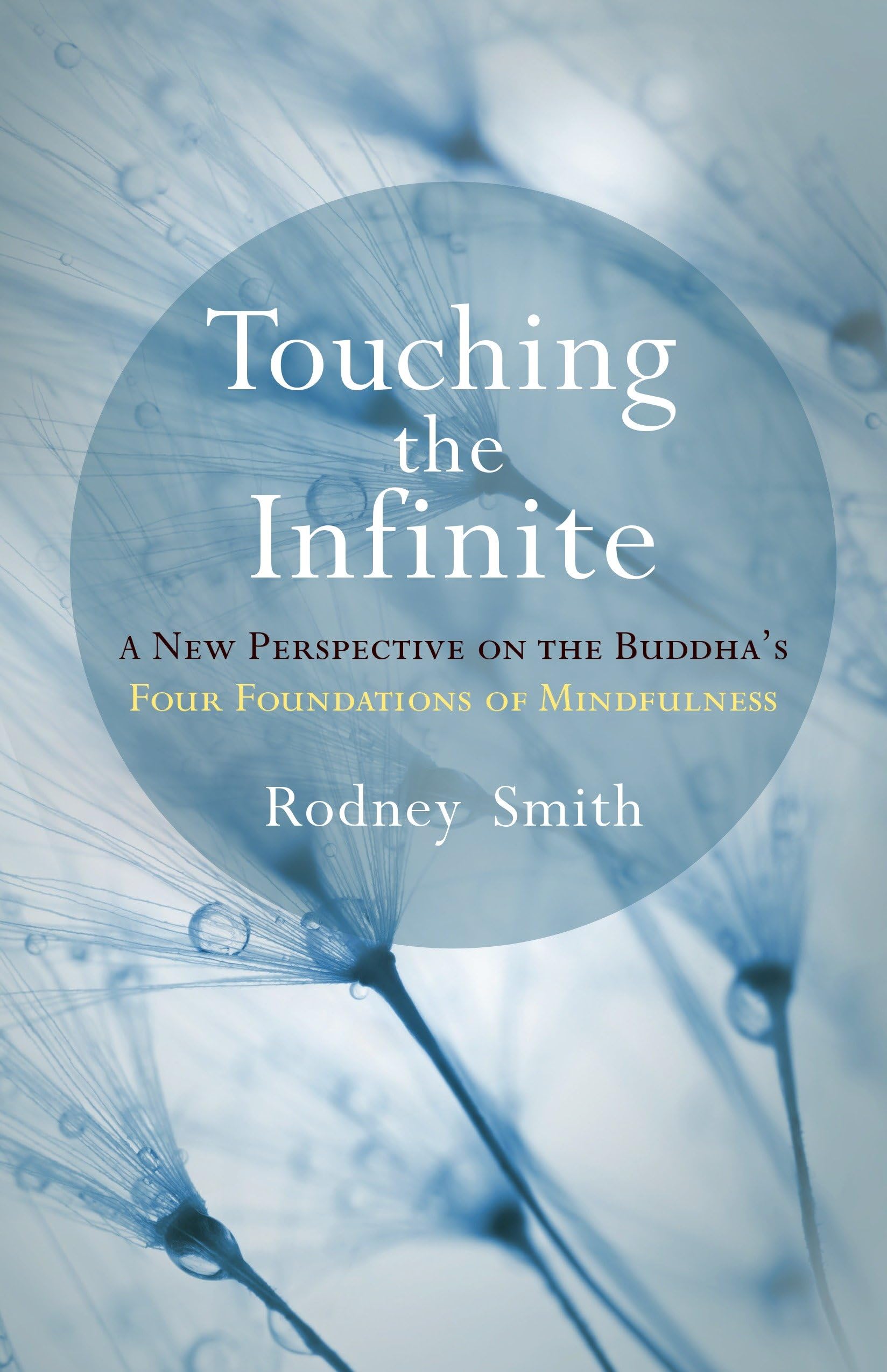 Touching the Infinite: A New Perspective on the Buddha's Four Foundations of Mindfulness book cover