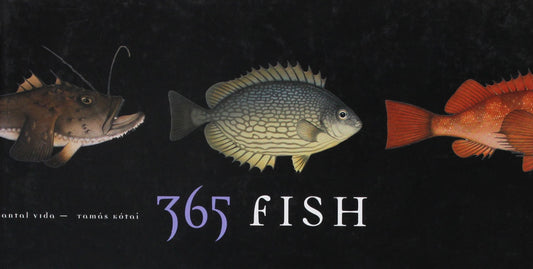 365 Fish