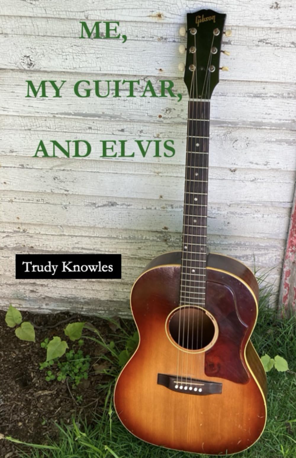 Me, My Guitar, and Elvis