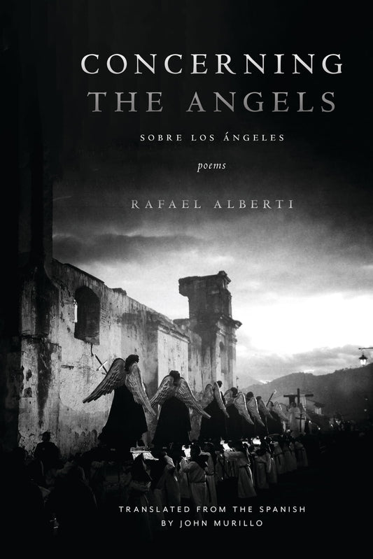 Concerning the Angels book cover