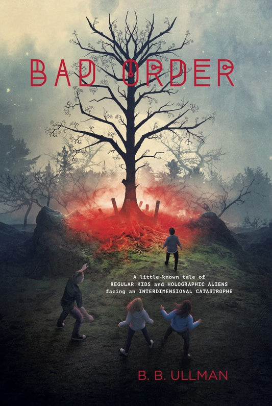 Bad Order book cover