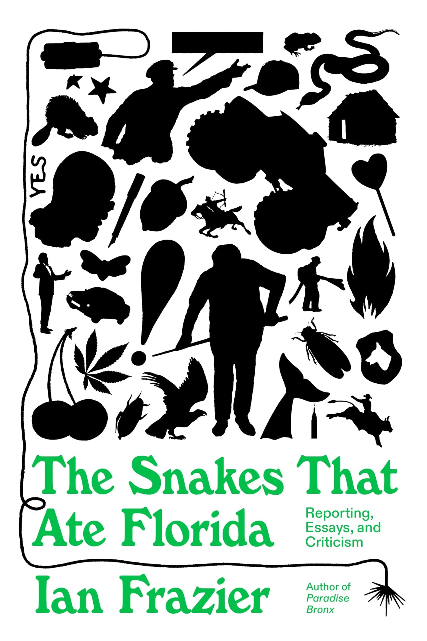 The Snakes That Ate Florida book cover
