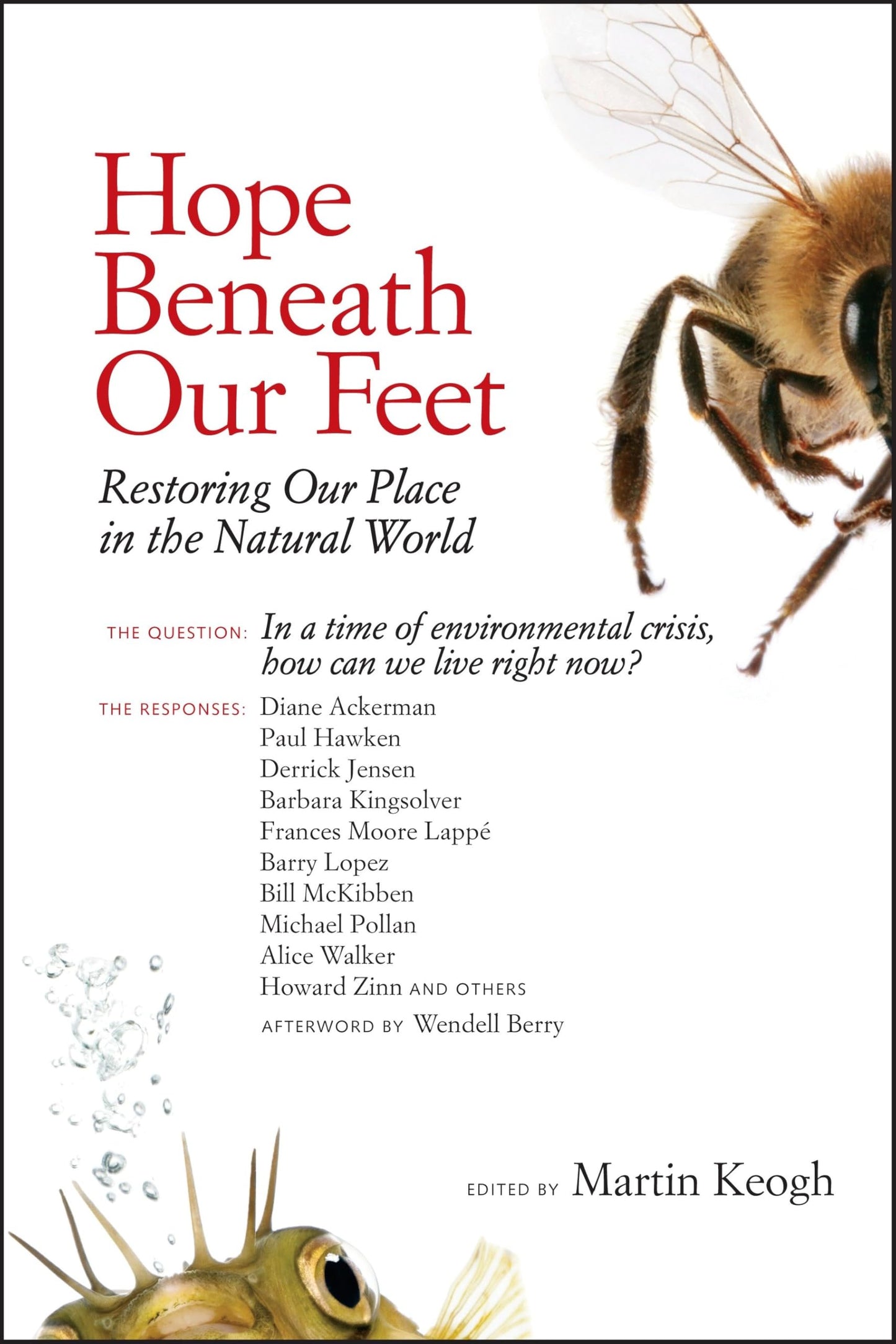 Hope Beneath Our Feet: Restoring Our Place in the Natural World book cover