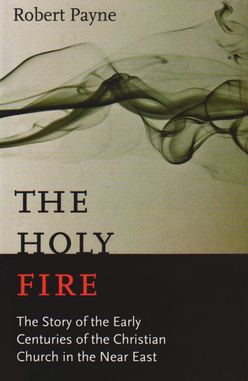 Holy Fire book cover