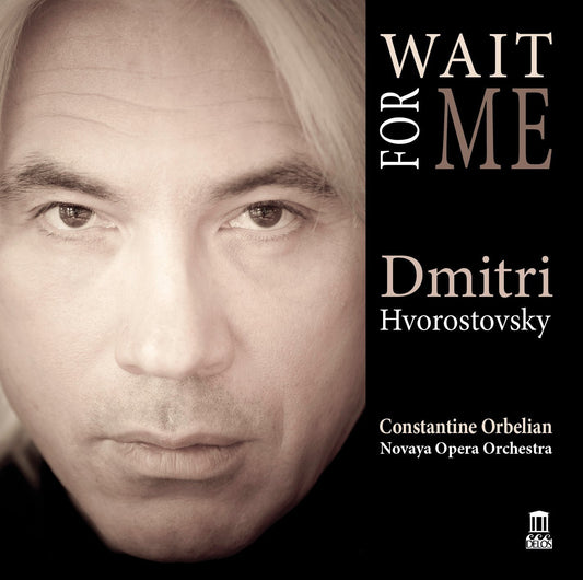 Wait for Me book cover