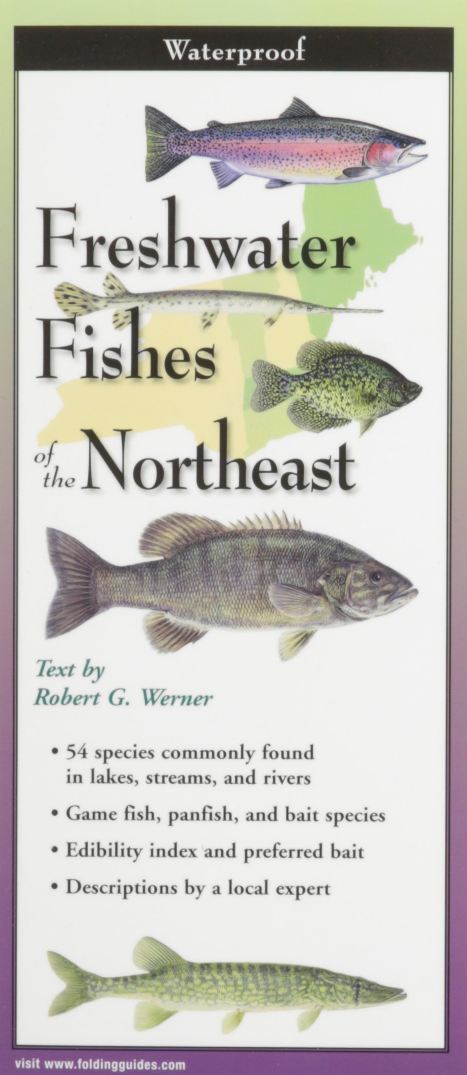 Freshwater Fishes of Northeast book cover