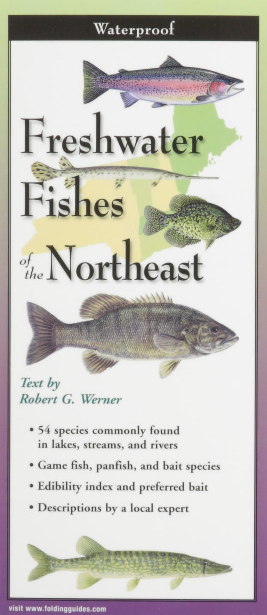 Freshwater Fishes of Northeast book cover