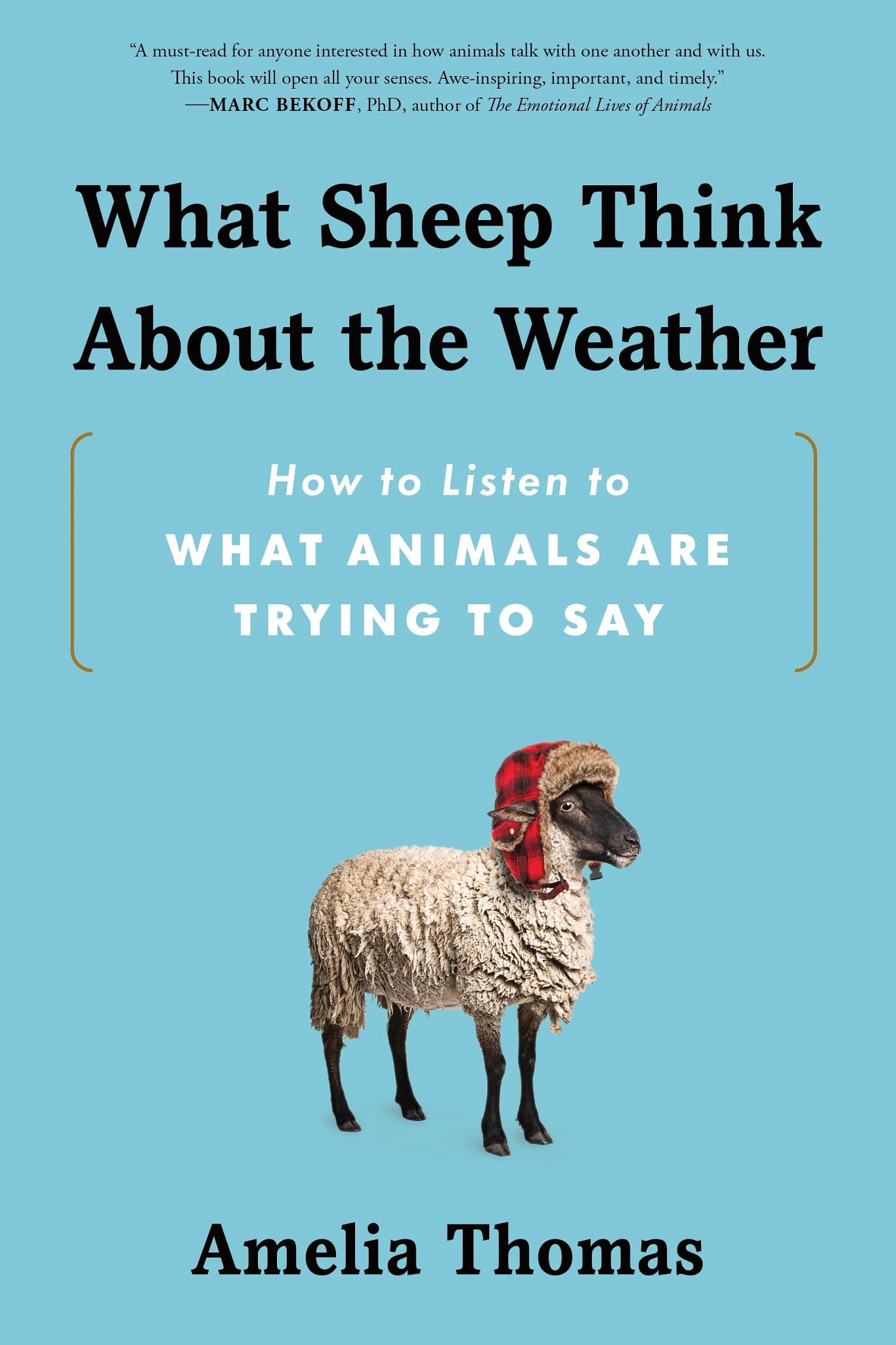 What Sheep Think about the Weather: How to Listen to What Animals Are Trying to Say book cover