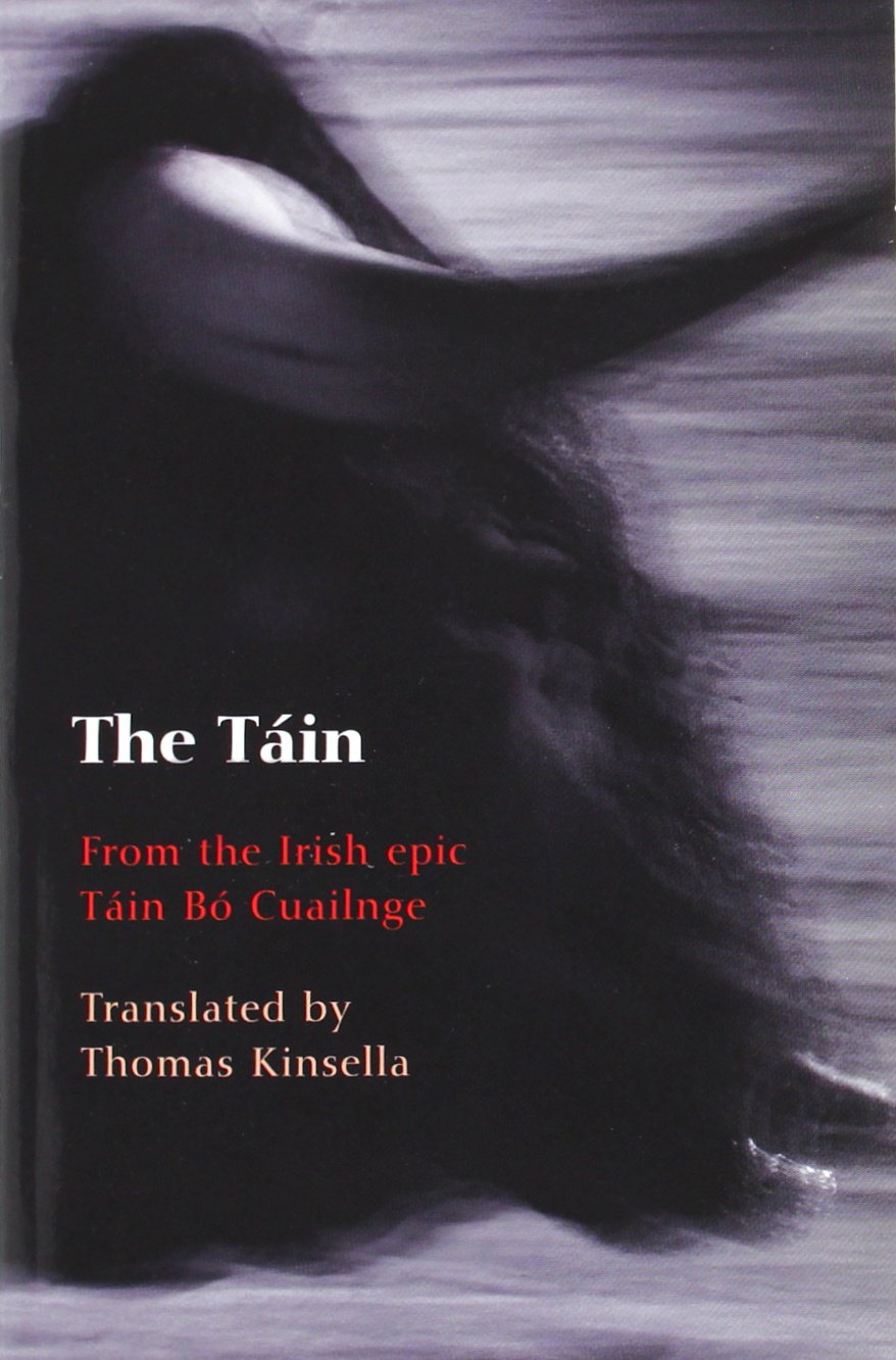 The Tain: Translated from the Irish Epic Tain Bo Cuailnge book cover