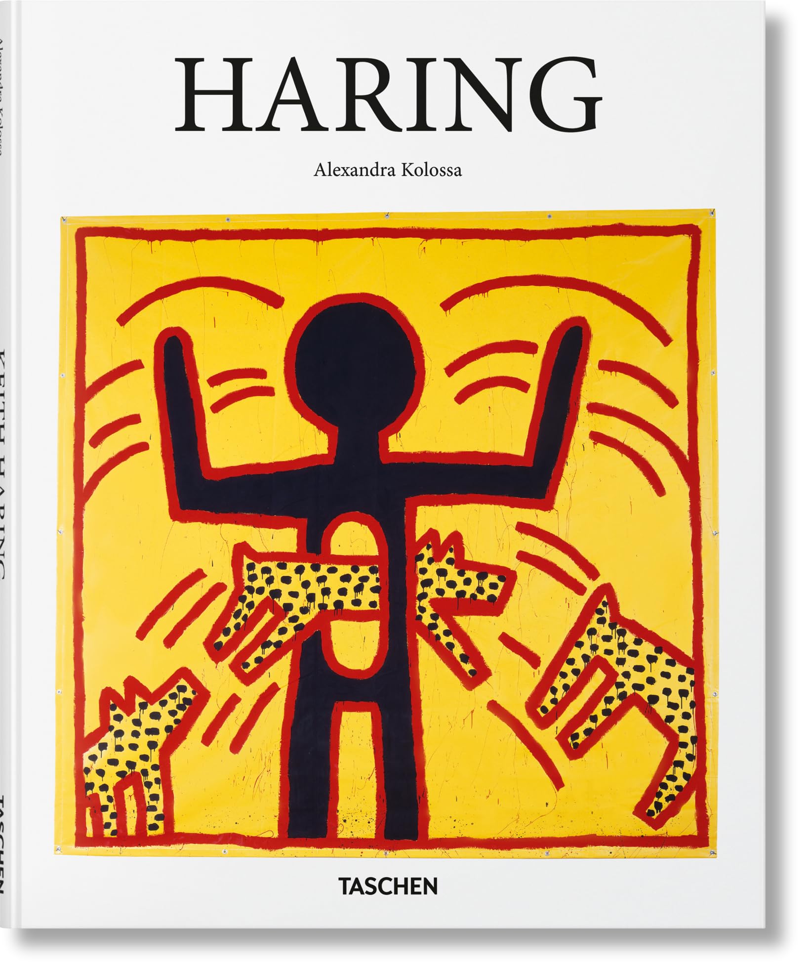 Haring book cover
