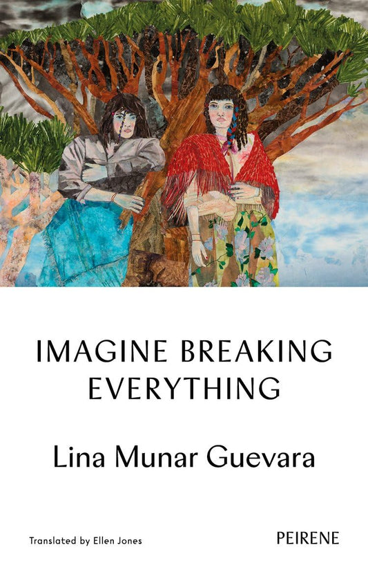 Imagine Breaking Everything book cover