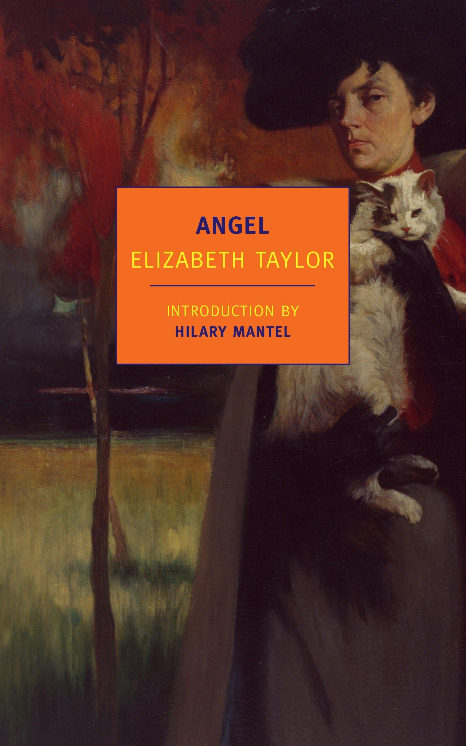 Angel book cover