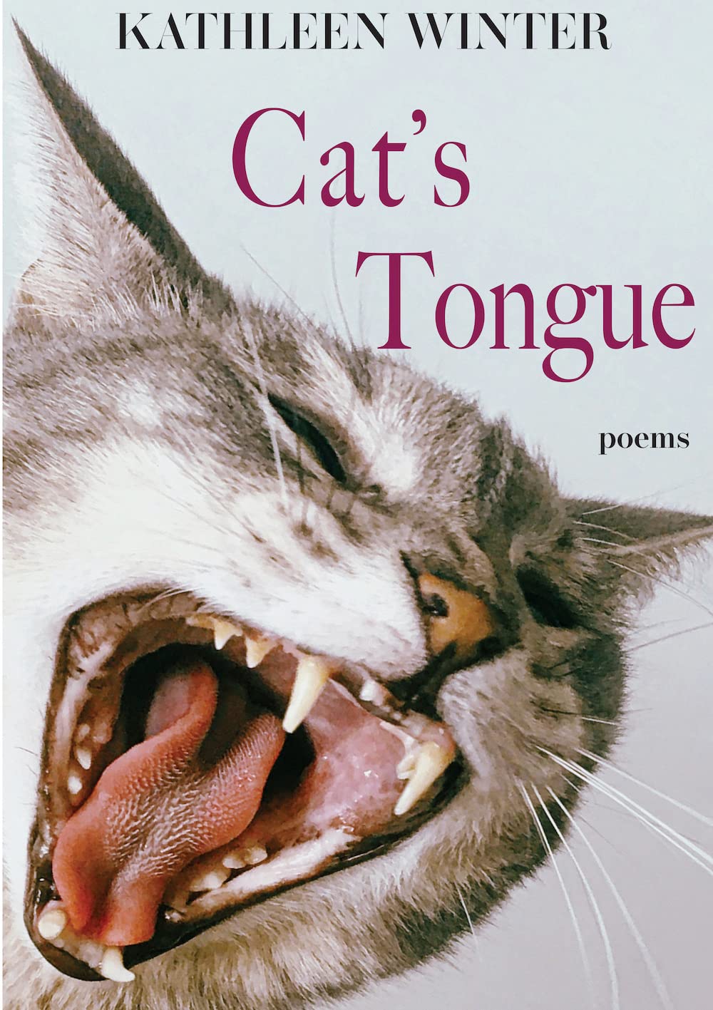 Cat's Tongue: Poems Volume 13 book cover