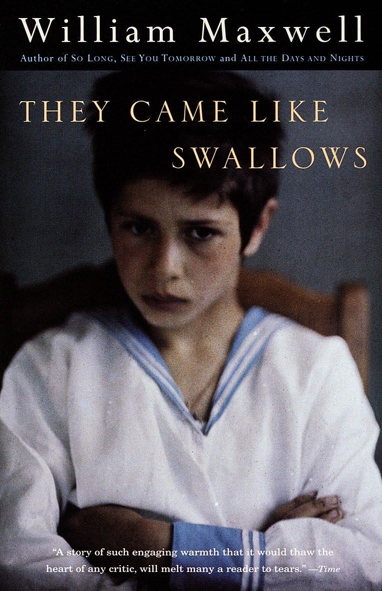 They Came Like Swallows book cover