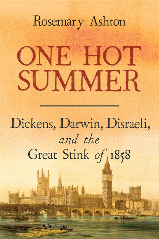 One Hot Summer: Dickens, Darwin, Disraeli, and the Great Stink of 1858 book cover