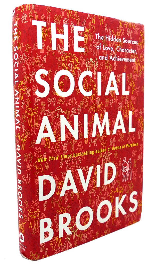 Social Animal: The Hidden Sources of Love, Character, and Achievement book cover