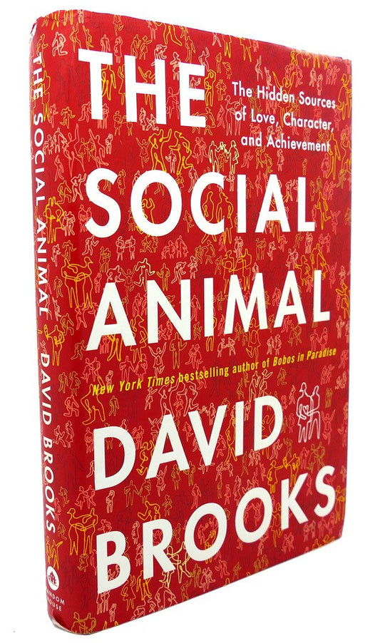 Social Animal: The Hidden Sources of Love, Character, and Achievement book cover
