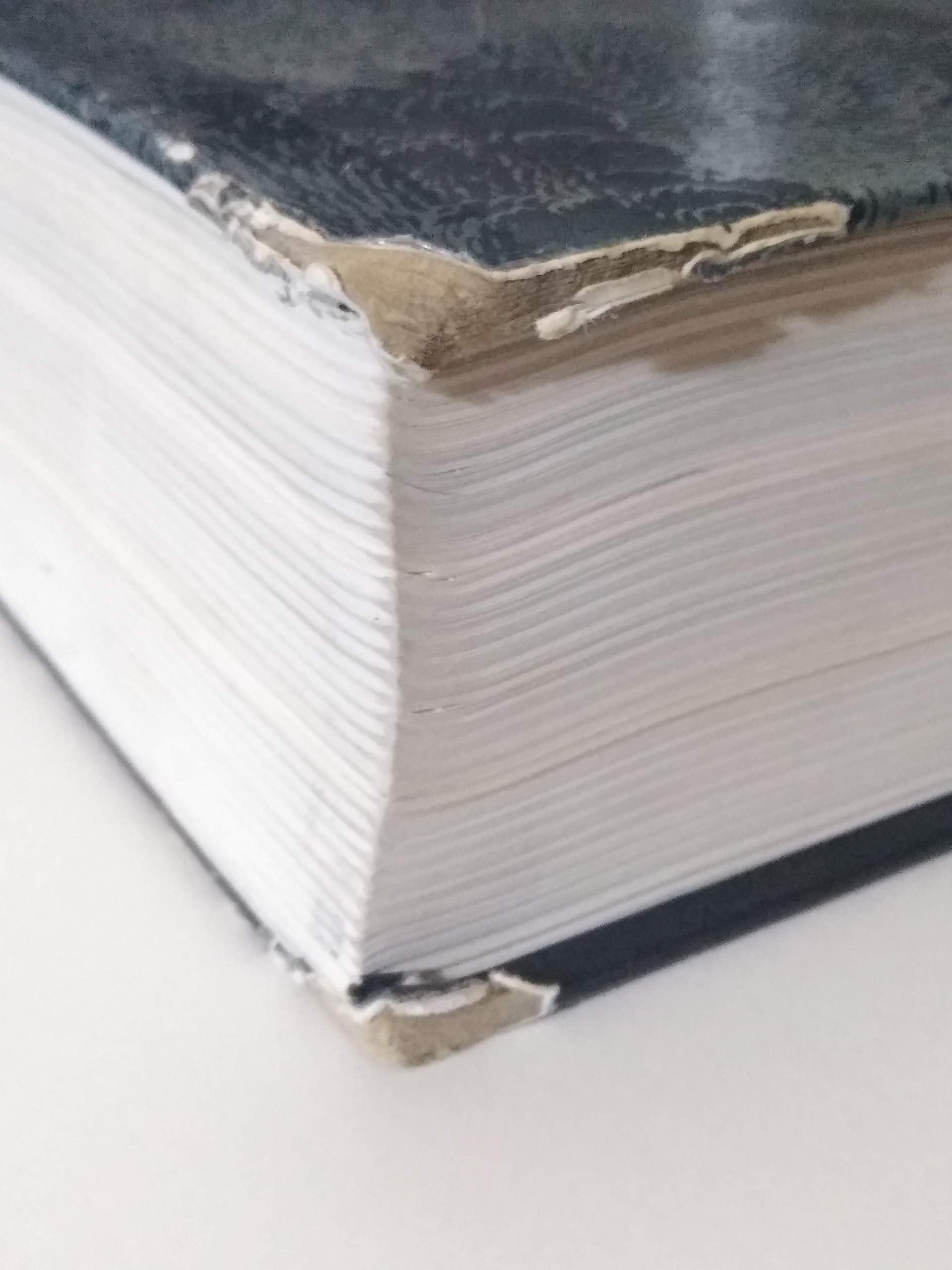 Complete Works of Shakespeare Updated (Updated) book cover