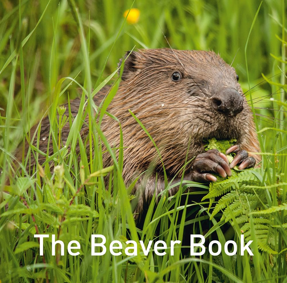 Beaver Book book cover