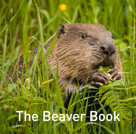 Beaver Book book cover