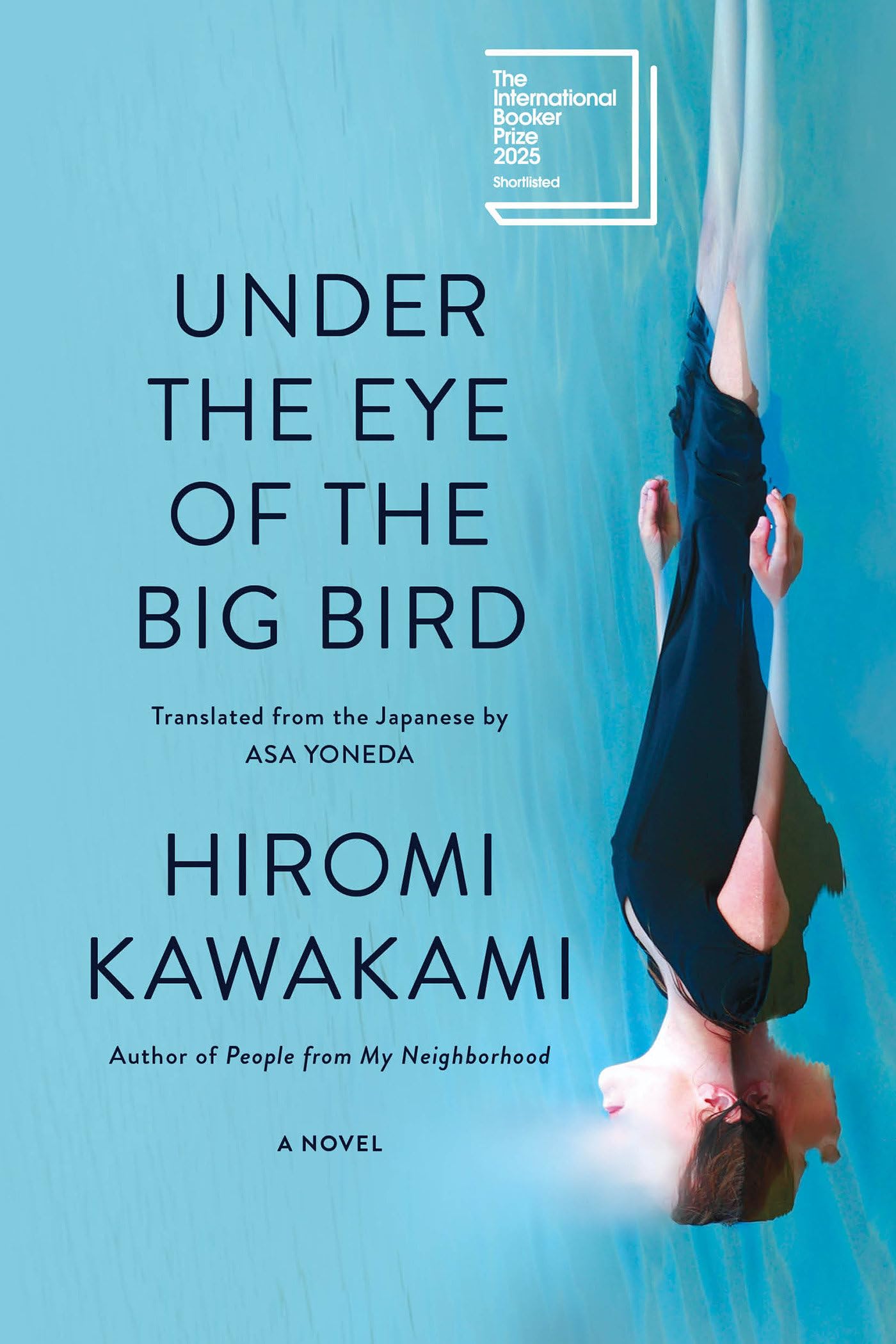 Under the Eye of the Big Bird book cover