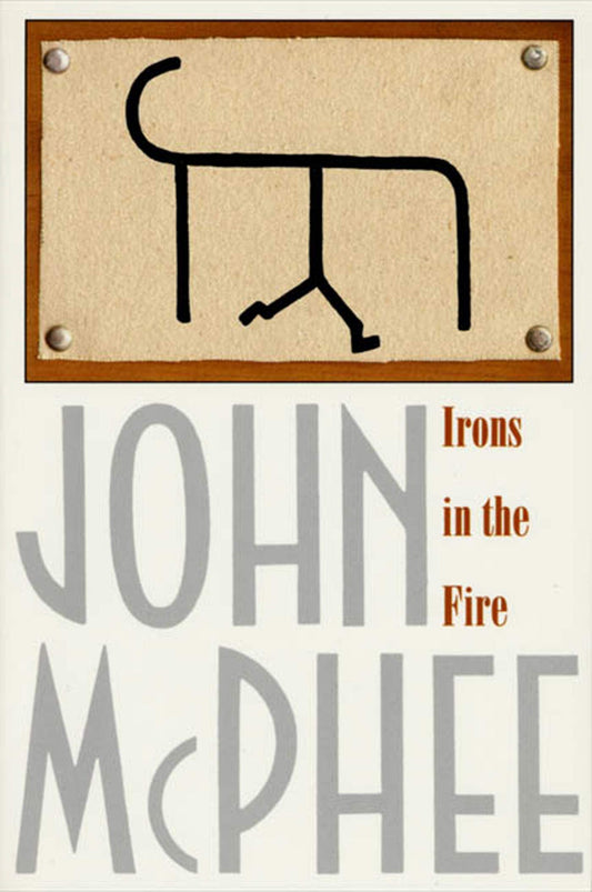 Irons in the Fire book cover