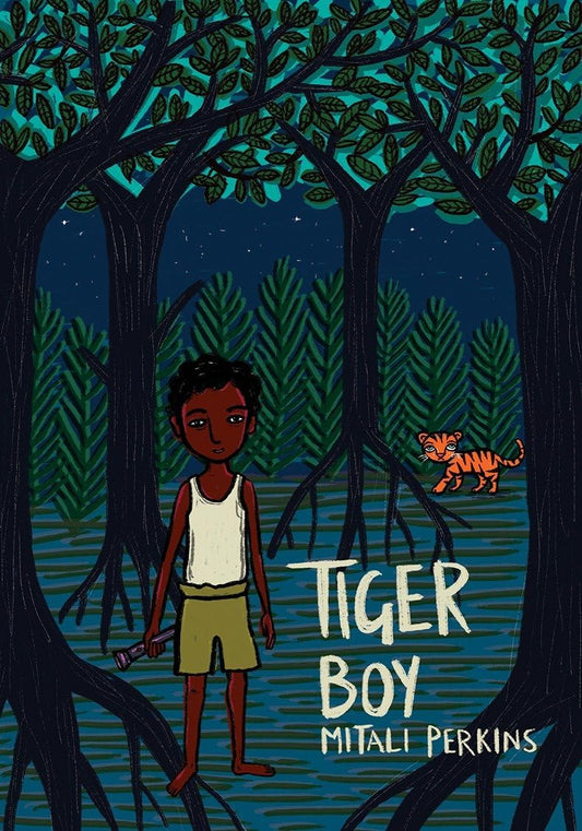 Tiger Boy book cover