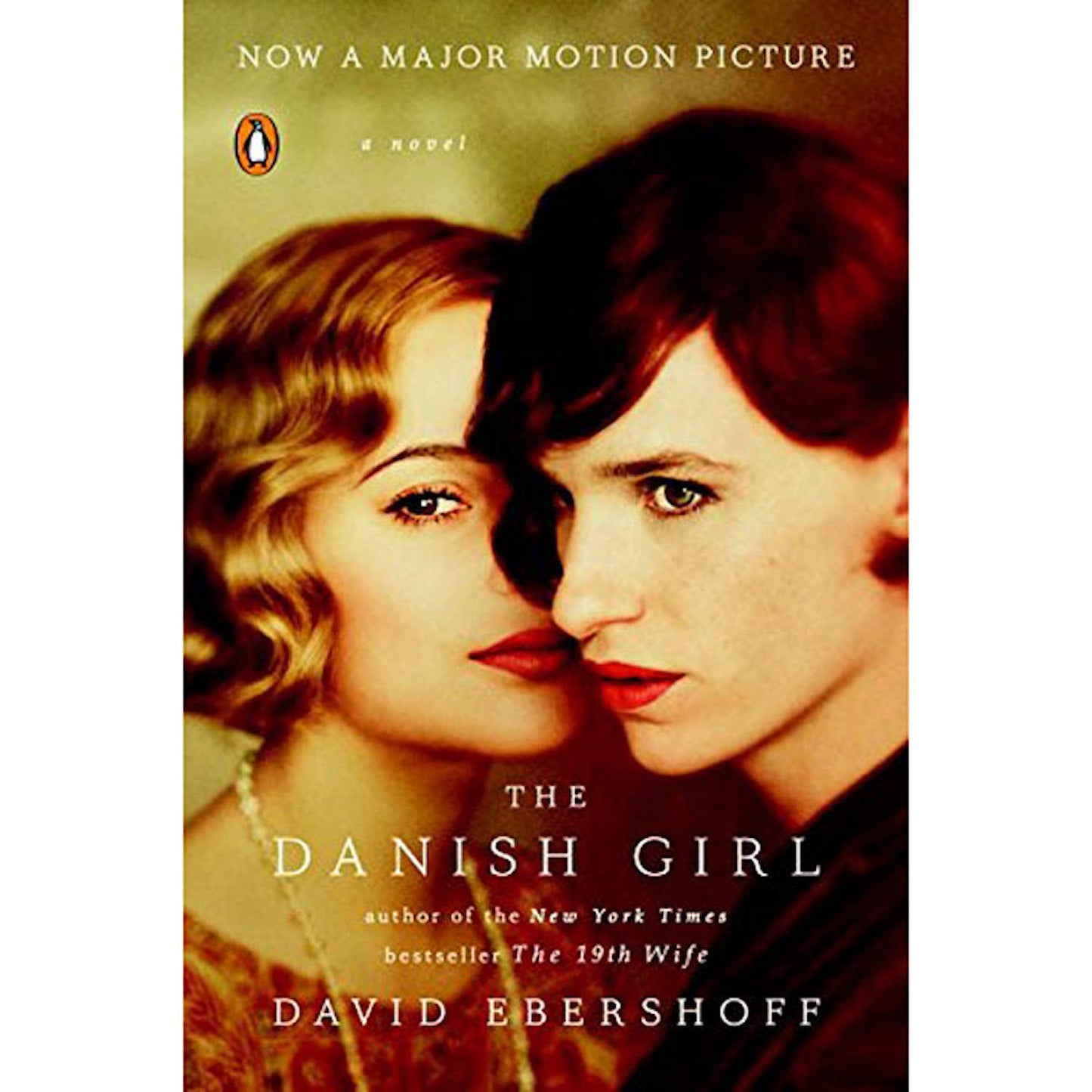 The Danish Girl: A Novel (Movie Tie-In) book cover