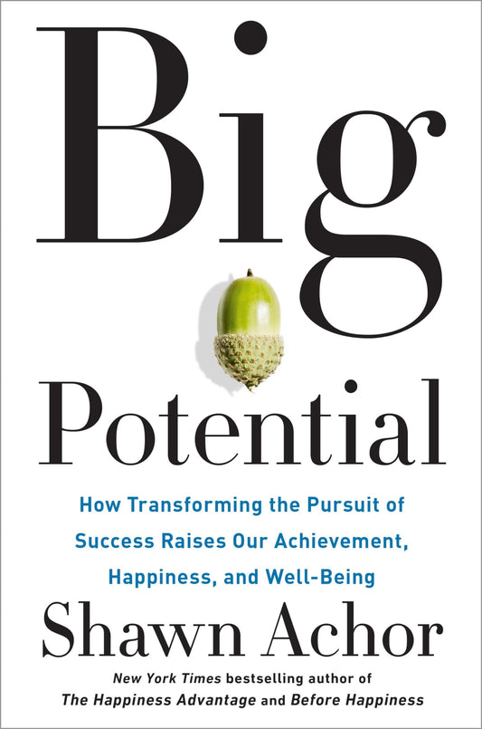 Big Potential: How Transforming the Pursuit of Success Raises Our Achievement, Happiness, and Well-Being book cover
