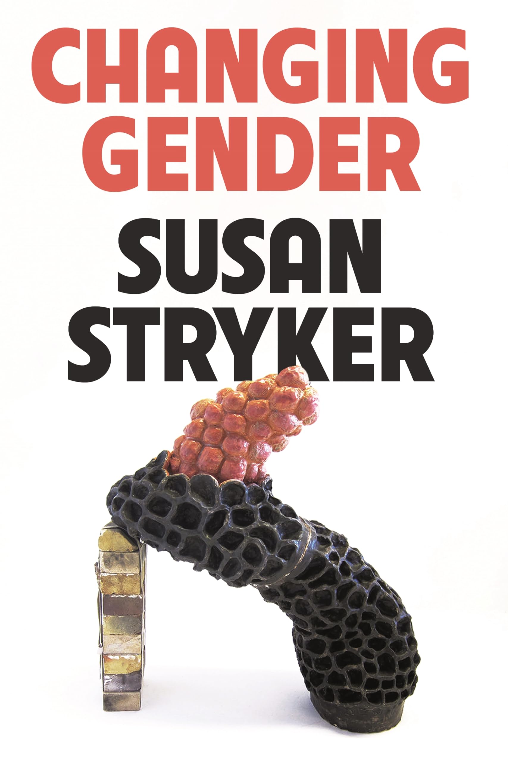 Changing Gender book cover