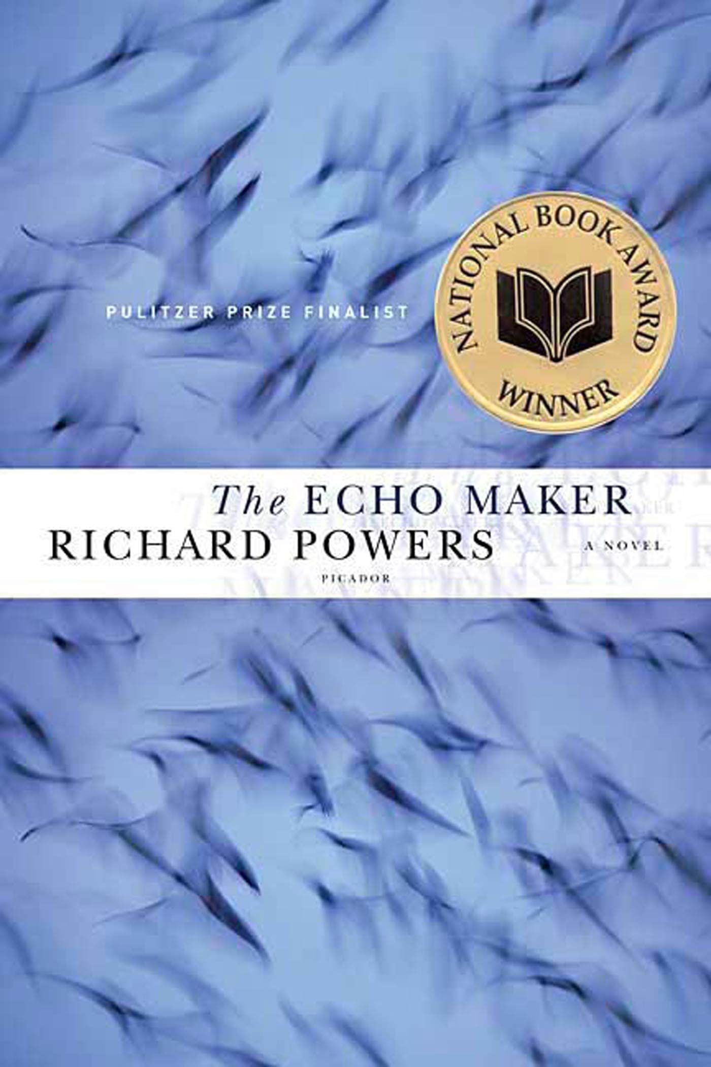 Echo Maker (First Edition, First) book cover