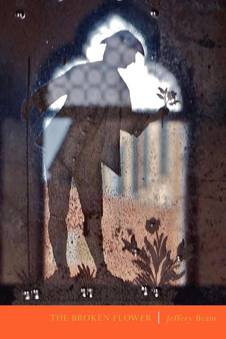 Broken Flower book cover