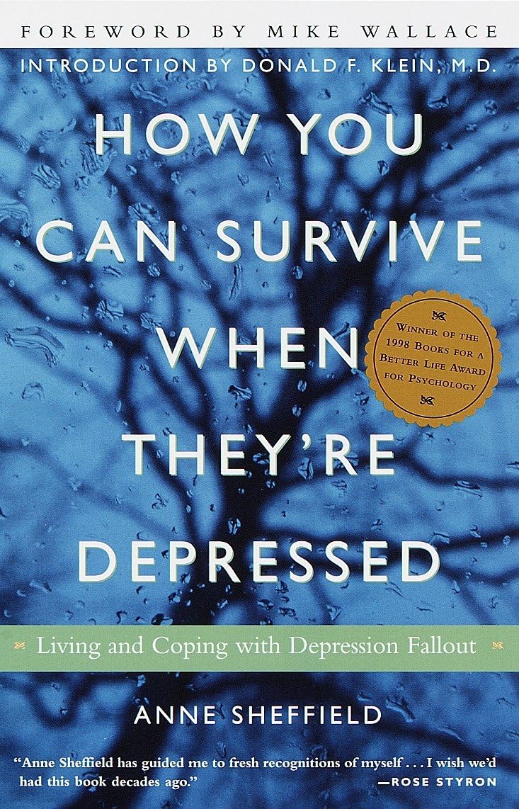How You Can Survive When They're Depressed: Living and Coping with Depression Fallout book cover
