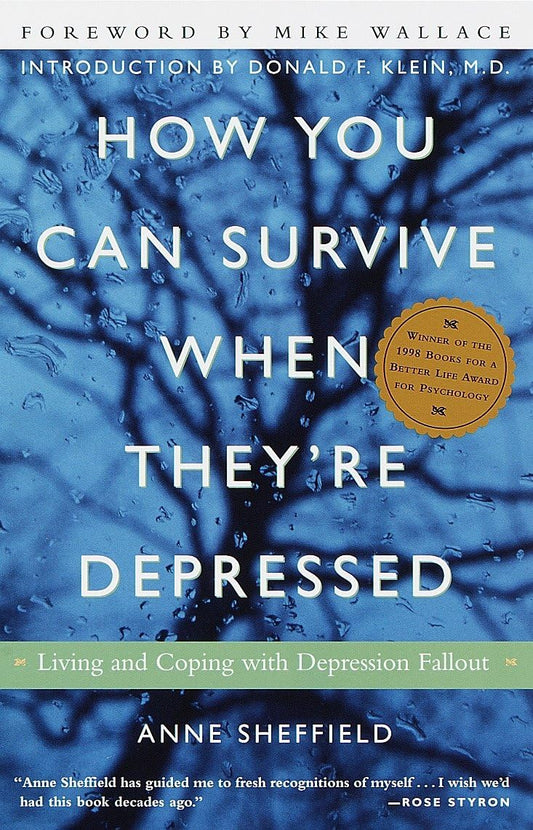 How You Can Survive When They're Depressed: Living and Coping with Depression Fallout book cover