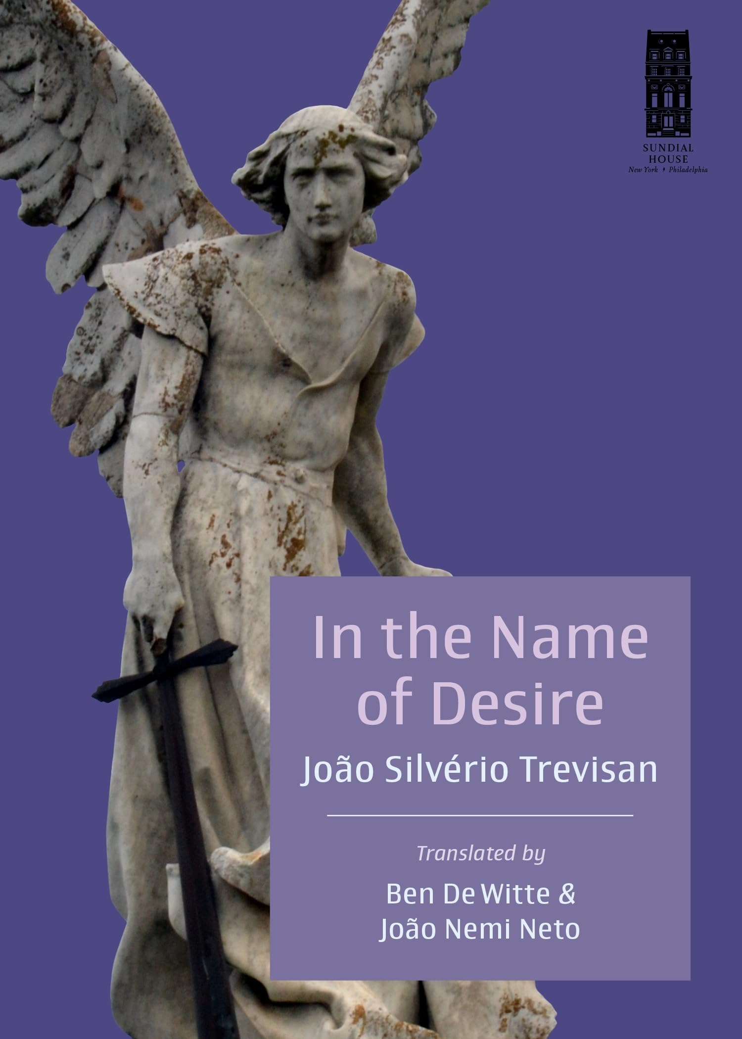 In the Name of Desire book cover