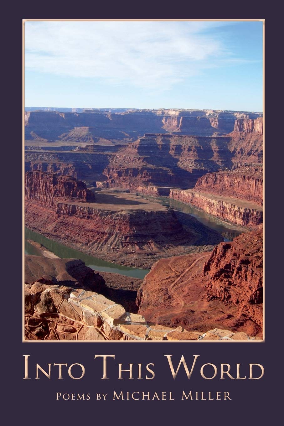 Into This World book cover