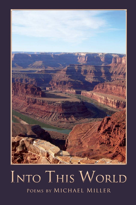 Into This World book cover