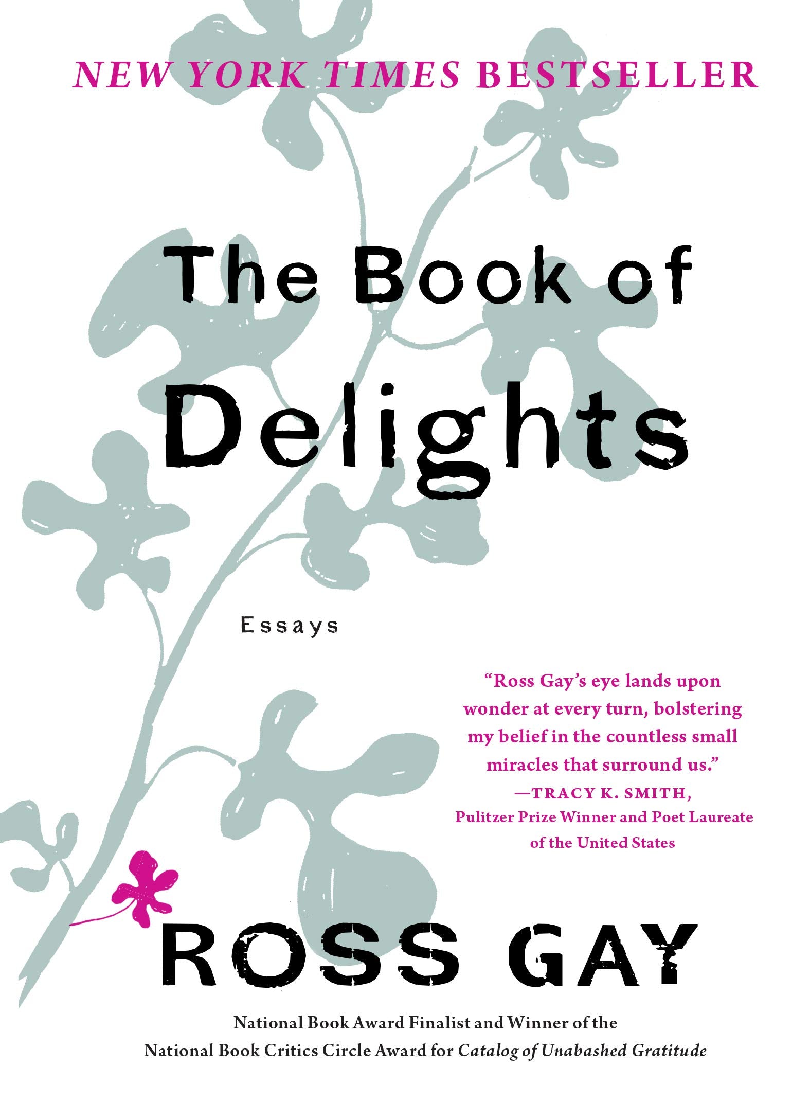 Book of Delights: Essays book cover