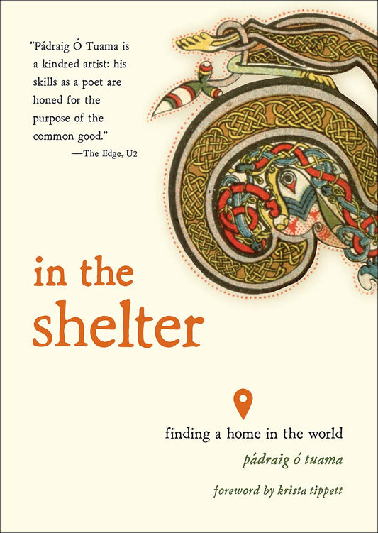 In the Shelter book cover