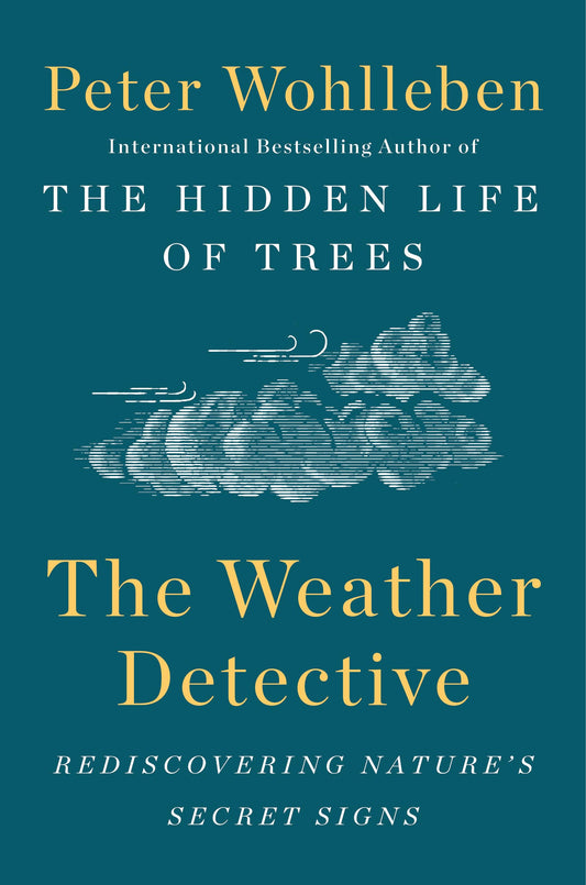 Weather Detective: Rediscovering Nature's Secret Signs