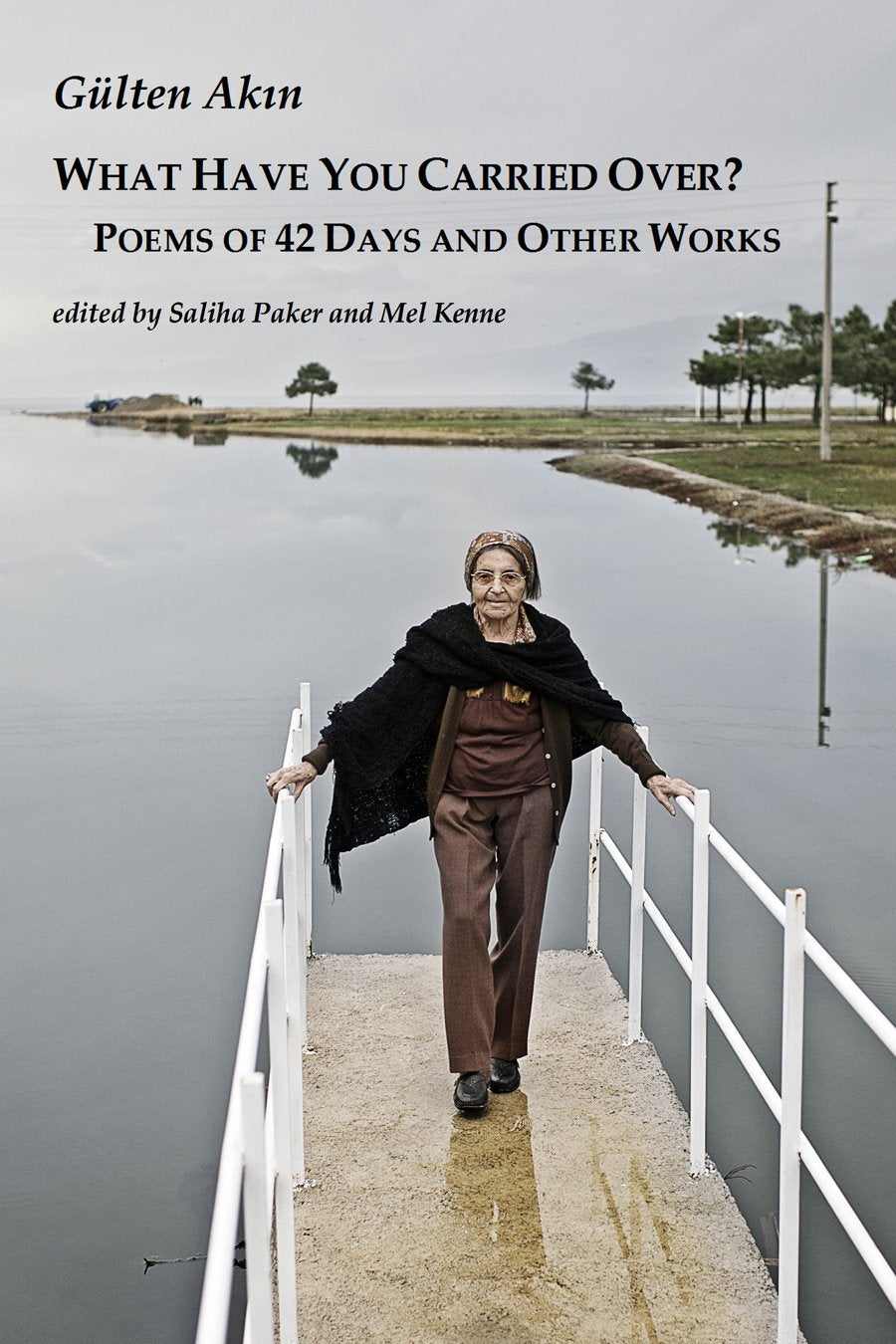 What Have You Carried Over?: Poems of 42 Days and Other Works book cover