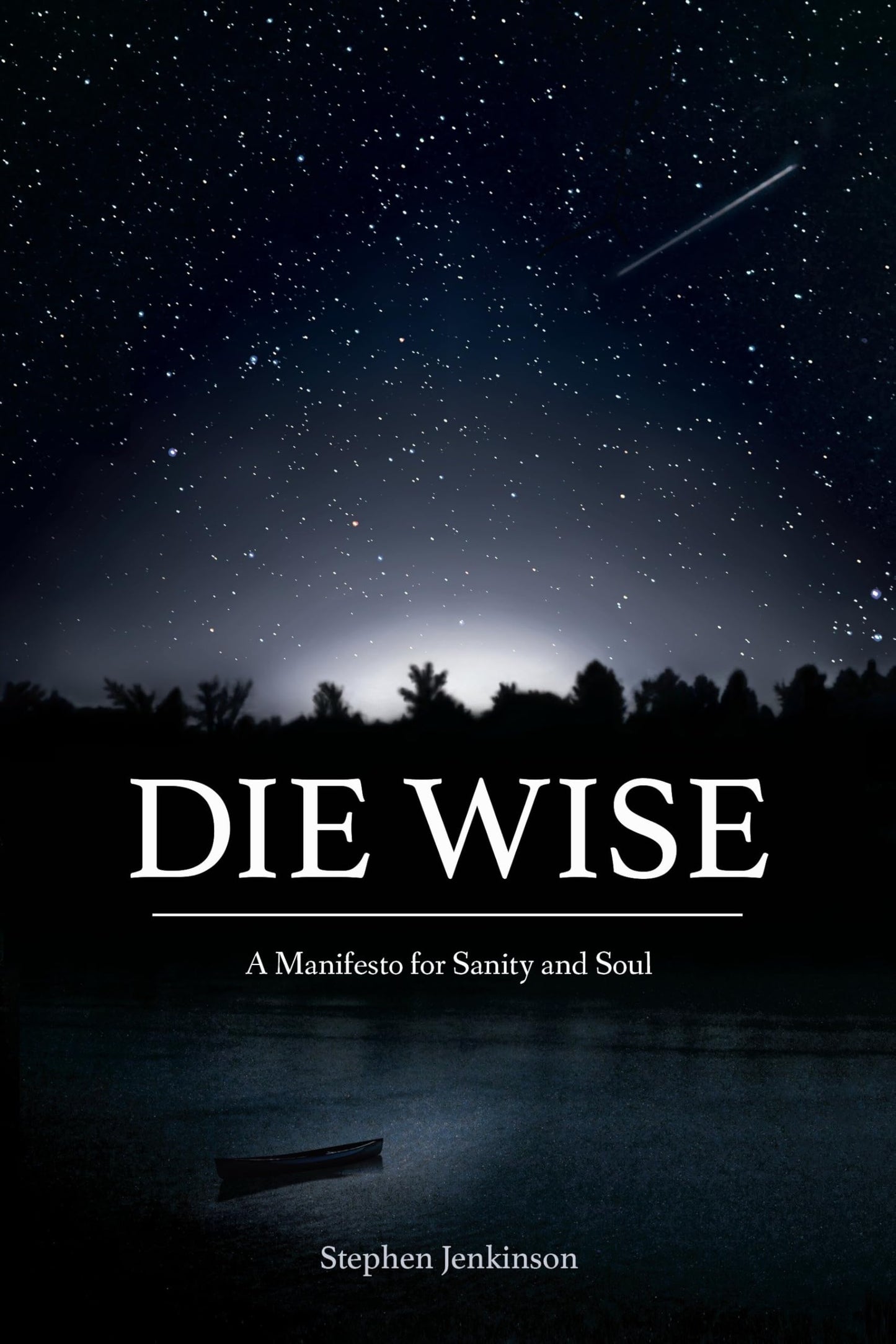 Die Wise: A Manifesto for Sanity and Soul book cover