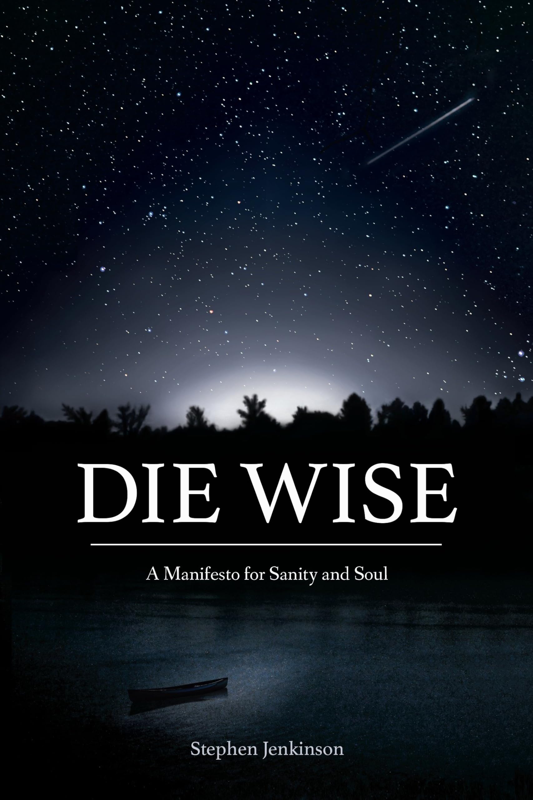 Die Wise: A Manifesto for Sanity and Soul book cover