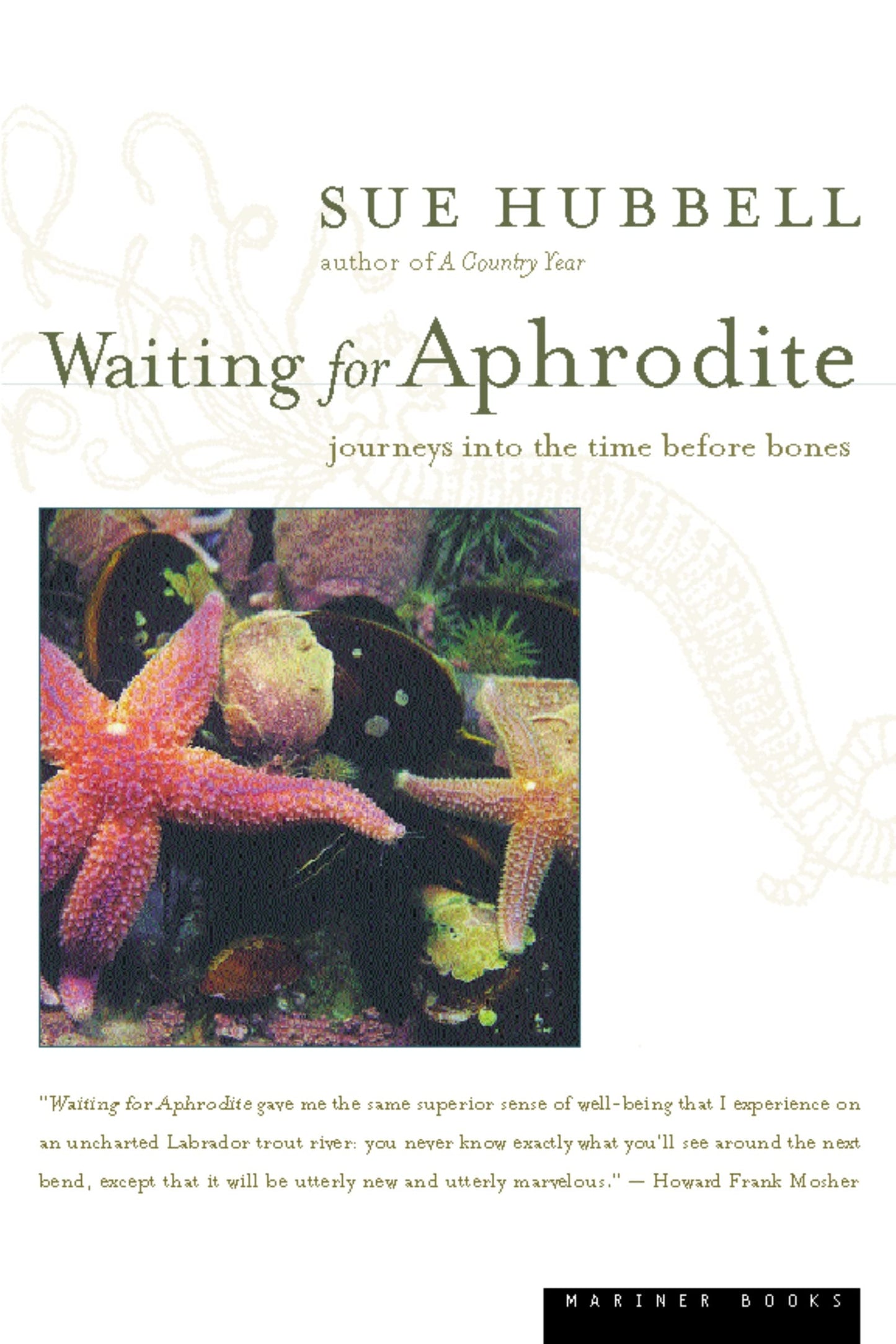 Waiting for Aphrodite: Journeys Into the Time Before Bones book cover