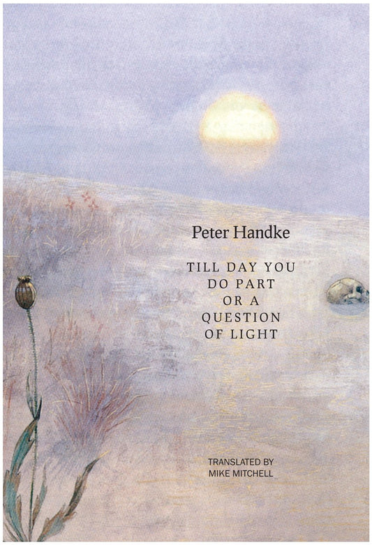 Till Day You Do Part or a Question of Light book cover