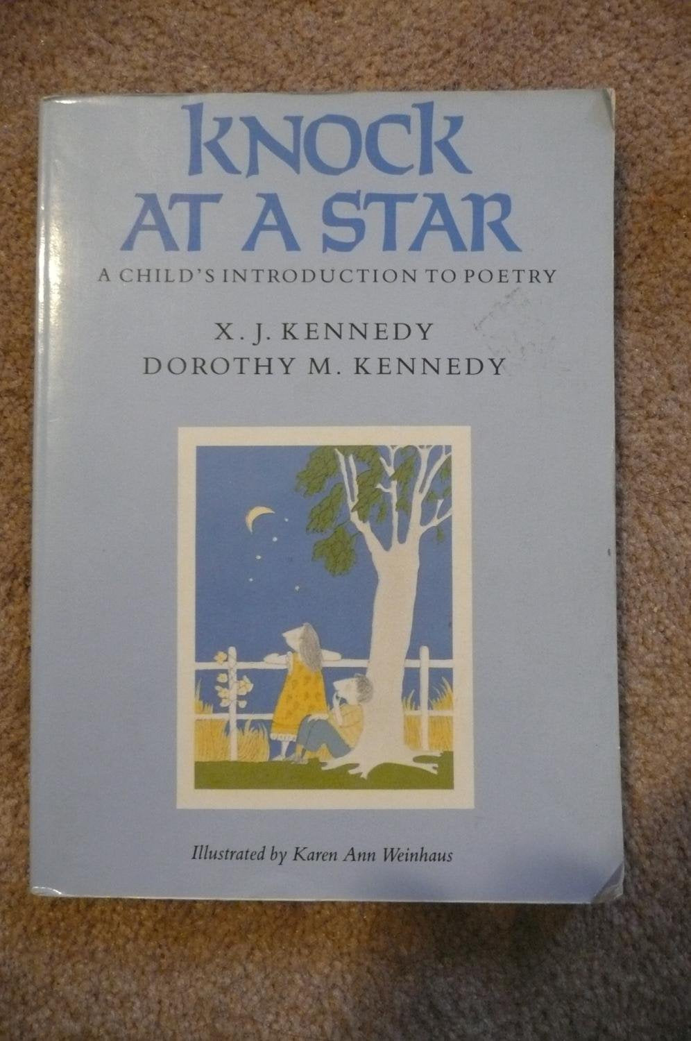Knock at a Star book cover