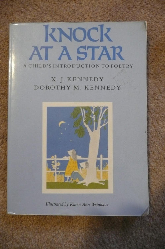 Knock at a Star book cover