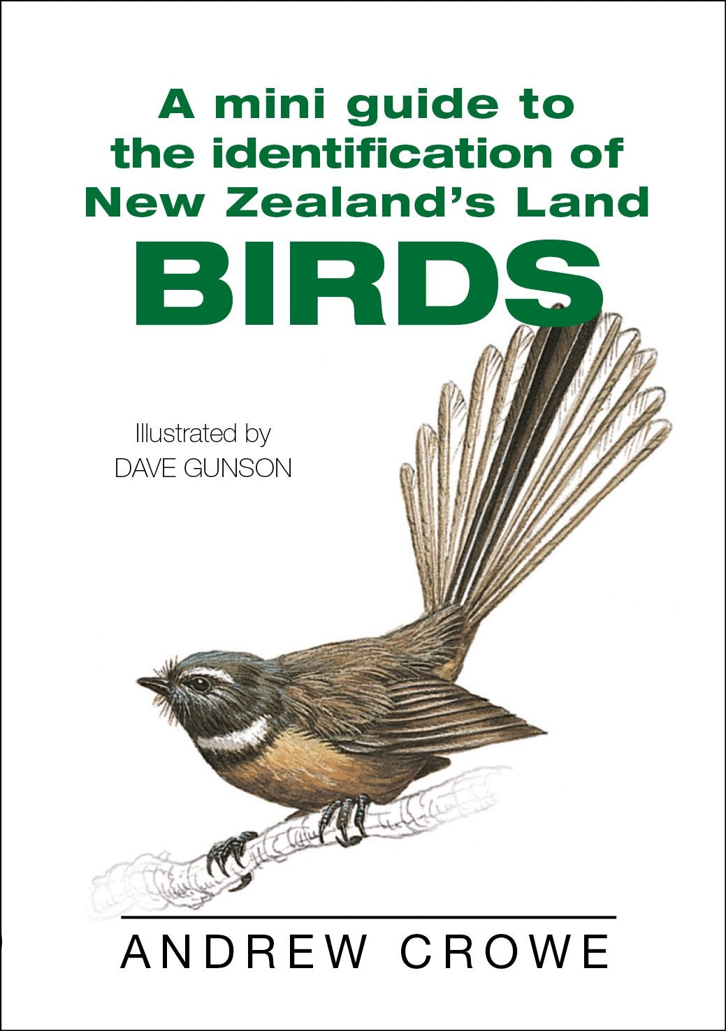 A Mini Guide to the Identification of New Zealand's Land Birds book cover