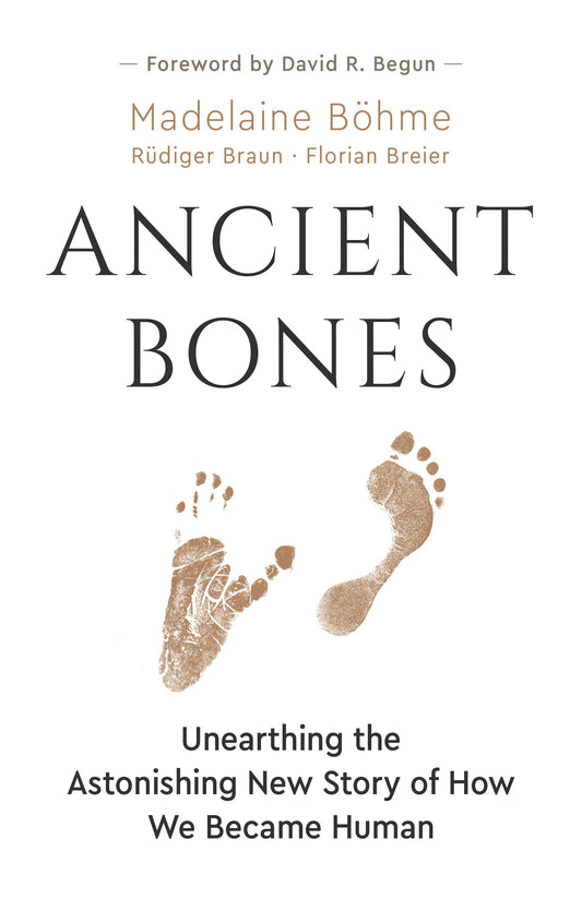 Ancient Bones: Unearthing the Astonishing New Story of How We Became Human book cover