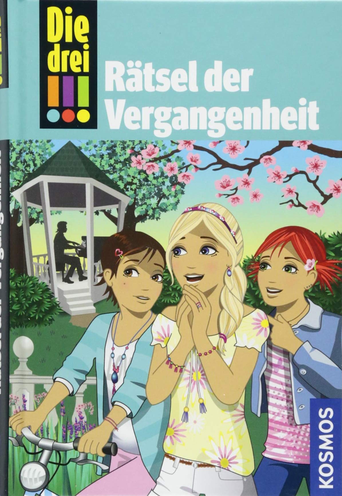 Die drei !!! 74: Rätsel der Vergangenheit (drei Ausrufezeichen) book cover